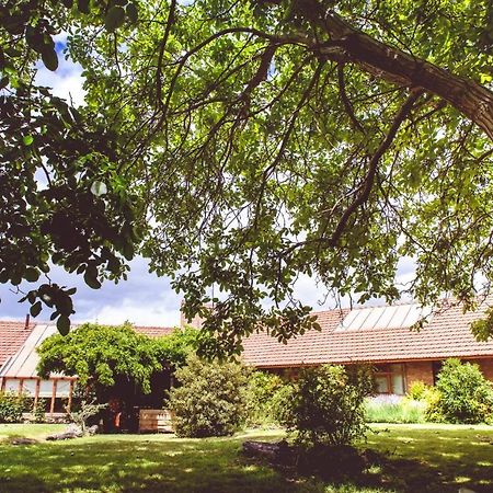 Posada Los Mimbres Gaiman Exterior photo