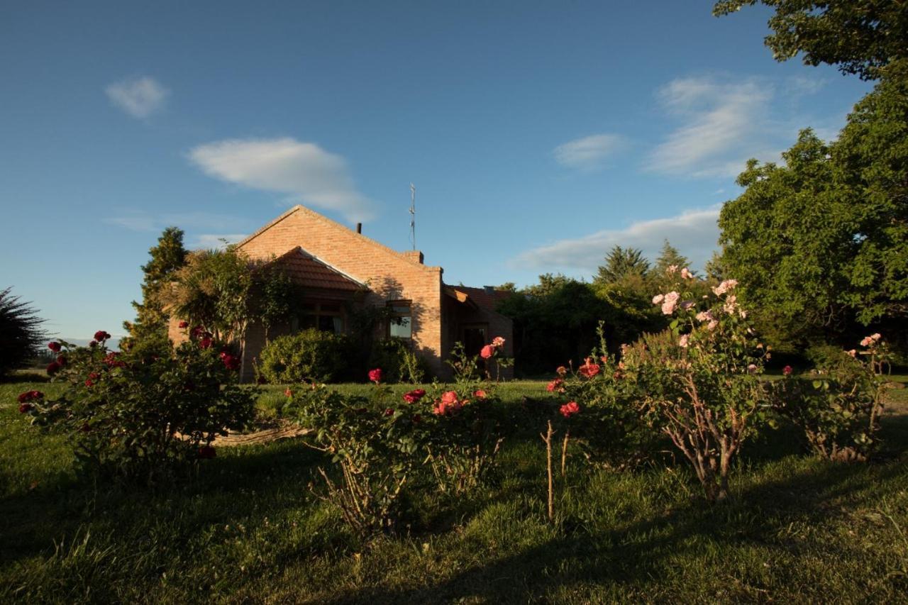 Posada Los Mimbres Gaiman Exterior photo